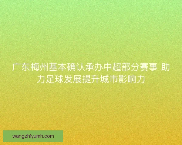 广东梅州基本确认承办中超部分赛事 助力足球发展提升城市影响力