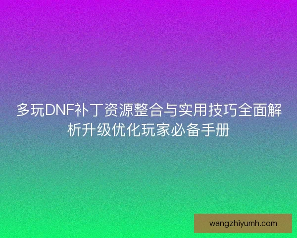 多玩DNF补丁资源整合与实用技巧全面解析升级优化玩家必备手册