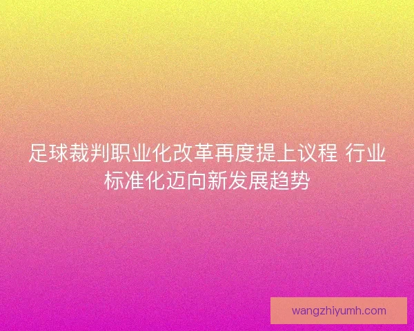 足球裁判职业化改革再度提上议程 行业标准化迈向新发展趋势